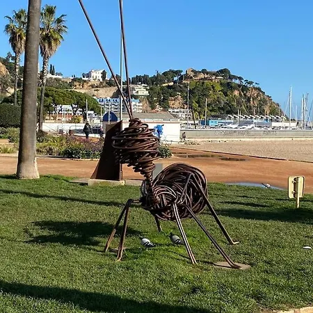 Bohemio * Blanes