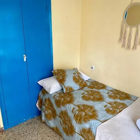 Bohemio בלאנס